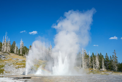 Steamboat Geyser