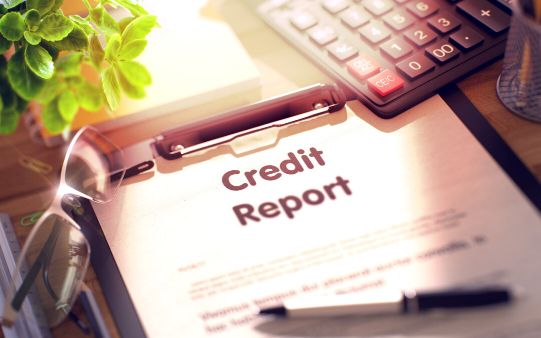 Credit Report